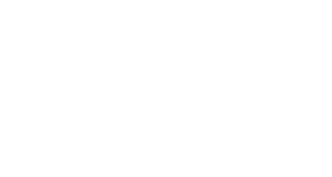 Logo Light │ Prime Learning